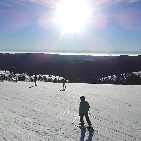 Penzion Restaurant Waldblick Feldberg (Baden-Wurttemberg)