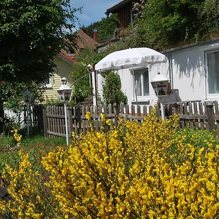 Penzion Restaurant Waldblick Feldberg (Baden-Wurttemberg)